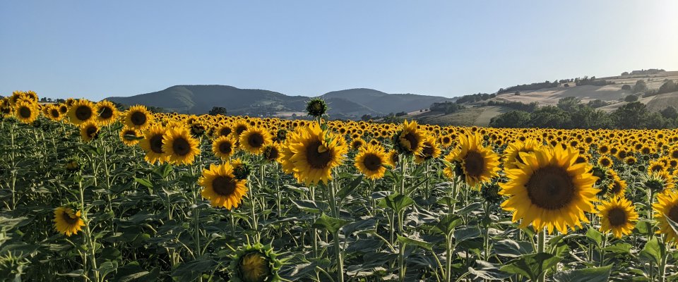 Mio Piccolo Castello