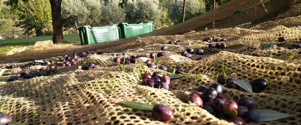 Mio Piccolo Castello
